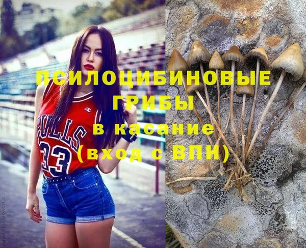 таблы Ельня