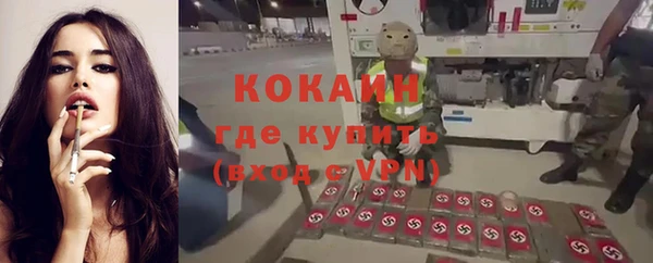 mdpv Елизово