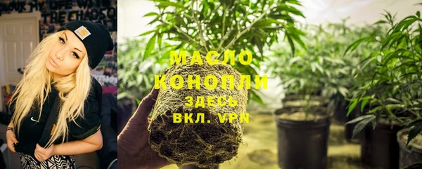 таблы Ельня