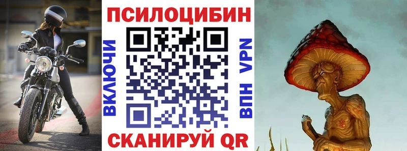 Галлюциногенные грибы Psilocybine cubensis Дятьково
